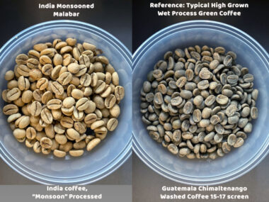India Monsooned Malabar AA- Sweet Maria's- Green Coffee Comparison