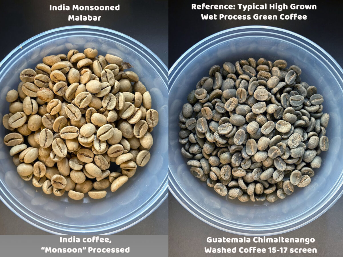 India Monsooned Malabar AA- Sweet Maria's- Green Coffee Comparison