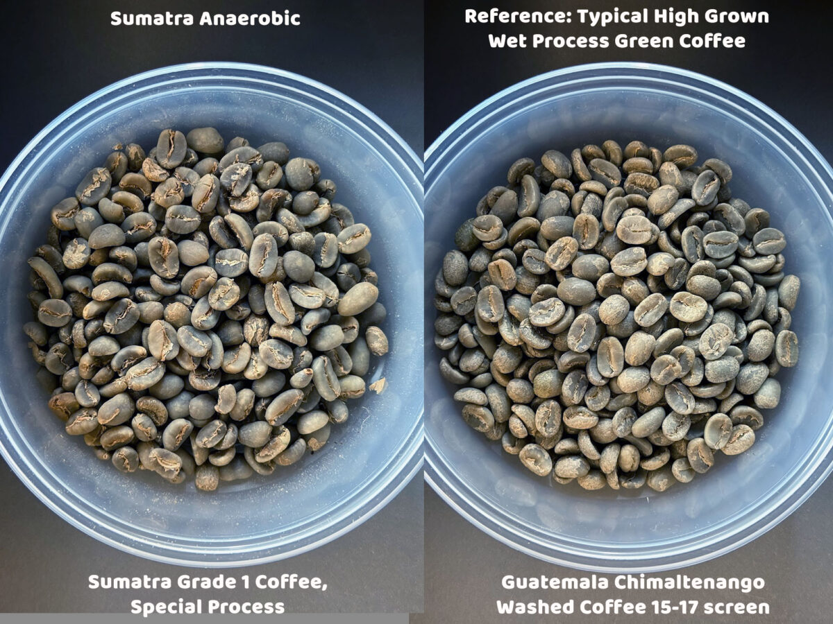 Sumatra Anaerobic Wet Hulled Coffee - Green Coffee Comparison