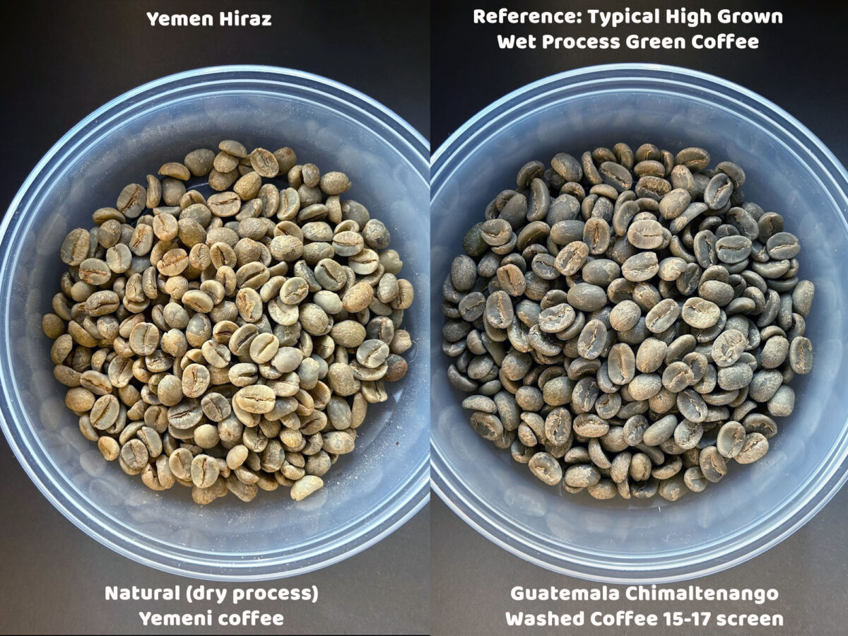 Yemen Hiraz Moka Coffee - Green Coffee Comparison