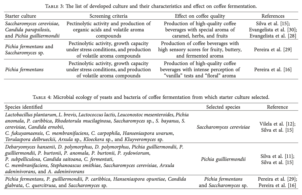 List of developed culture and their characteristics and effect on coffee fermentation.
