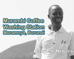 Murambi Coffee Station- Muramvya, Burundi Cassien Nibaruta, Murambi Coffee, Muramvya Burundi
