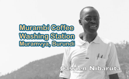 Cassien Nibaruta, Murambi Coffee, Muramvya Burundi