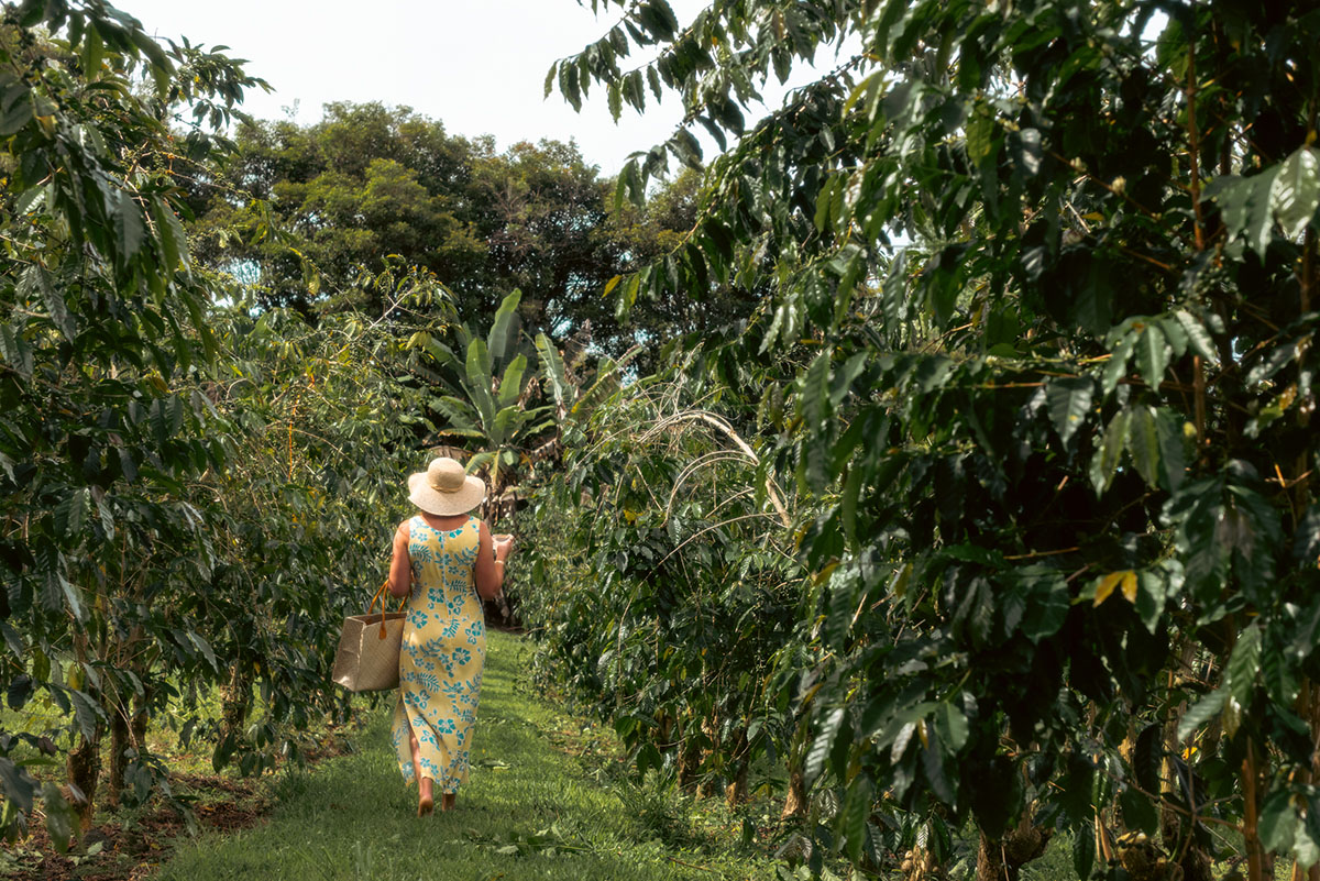 Pam Darnall - Darnall Estate Kona at Sweet Marias.jpg