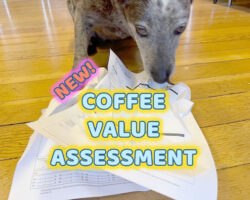 SCA CVA COFFEE value assessment