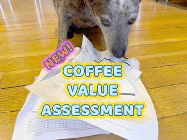 SCA CVA COFFEE value assessment