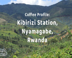 Kibirizi Washing Station, Nyamagabe, Rwanda