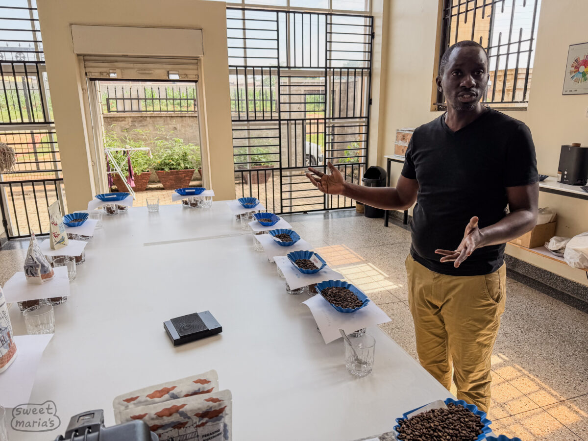 Tasting coffee at the Coffee Gardens lab in Mbale