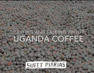 Uganda Coffee Tasting