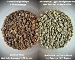 Simple Tips for Roasting Aged Sumatran Coffee Screenshot
