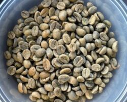 moka-kadir-blend