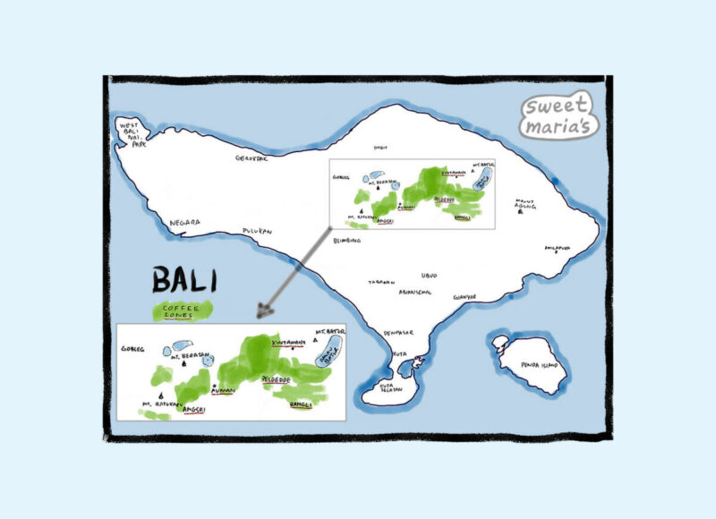 Bali Coffee Map Detail Sweet Marias Bali Indonesia