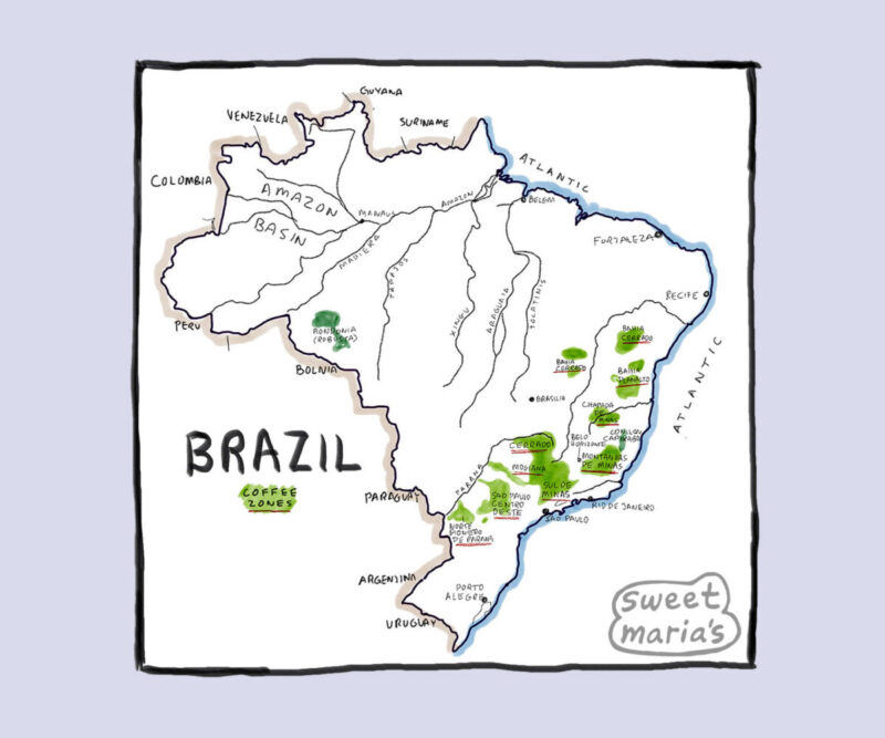 Brazil Coffee Map Sweet Marias