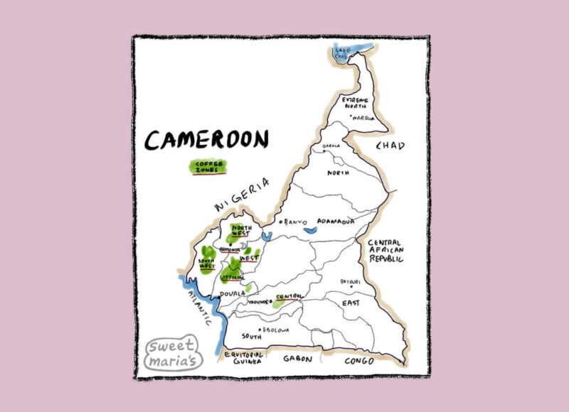 Cameroon Coffee Map Sweet Marias