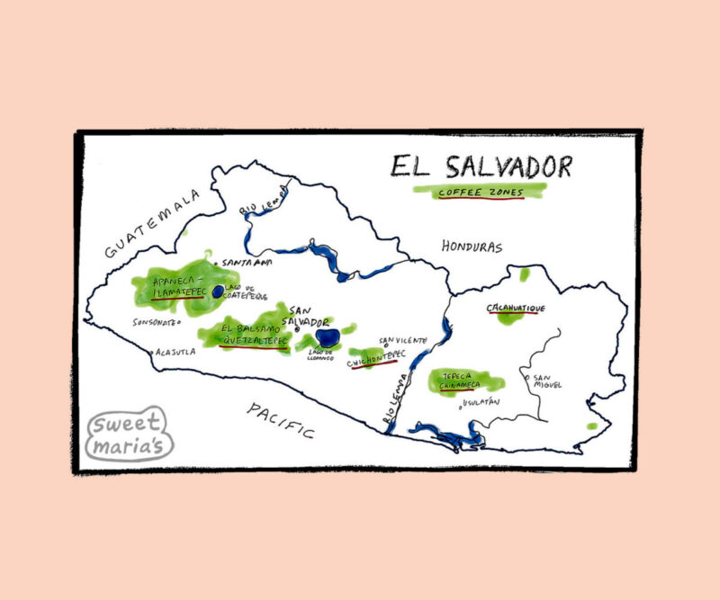 El Salvador Coffee Map Sweet Marias