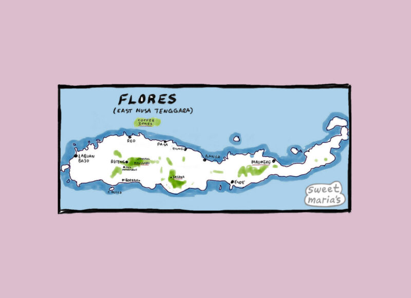 Flores Indonesia Coffee Map Sweet Marias