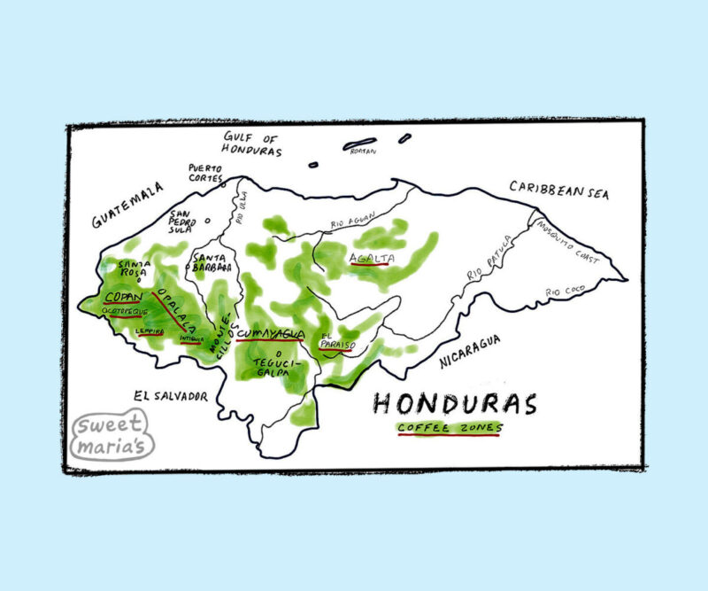 Honduras Coffee Map Sweet Marias