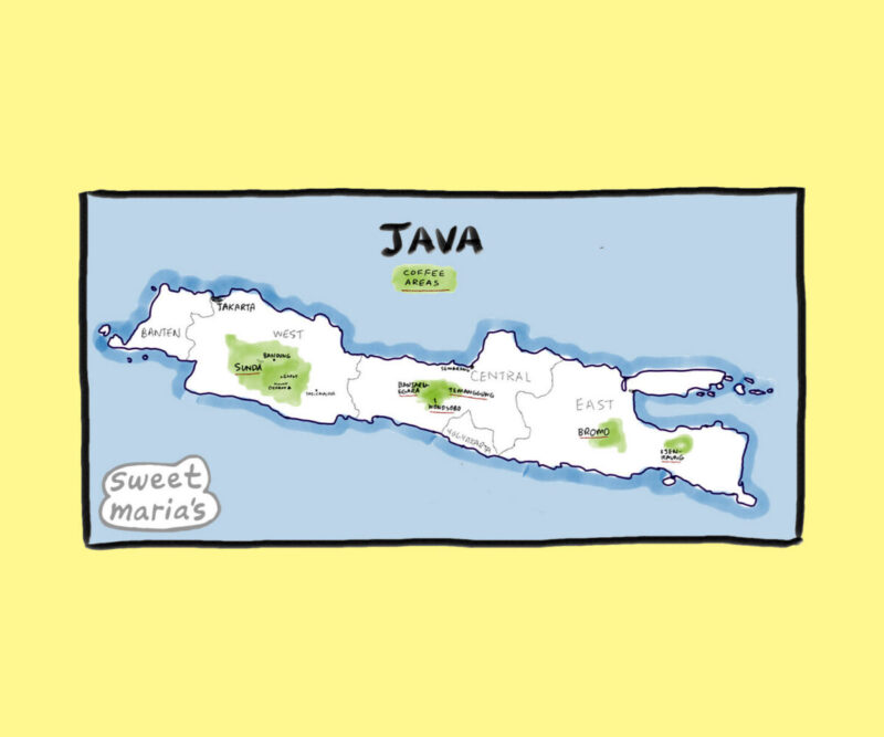 Java Indonesia Coffee Map Indonesia Sweet Marias