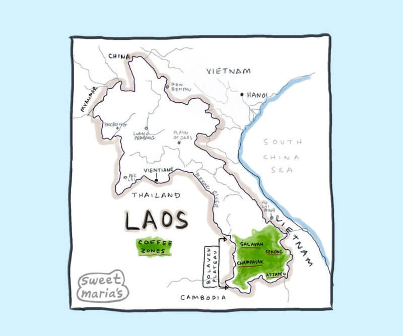 Laos Coffee Map -Sweet Marias