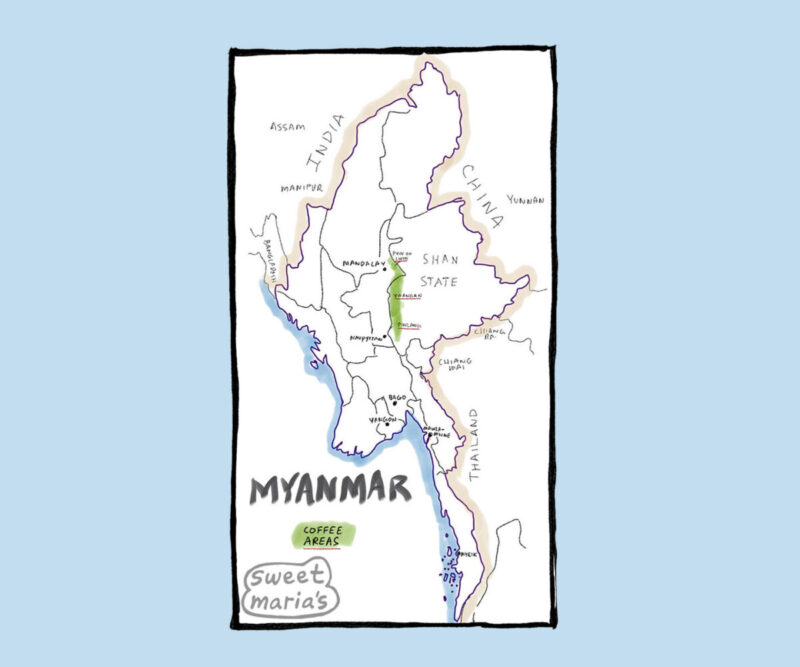 Myanmar Coffee Map Sweet Marias