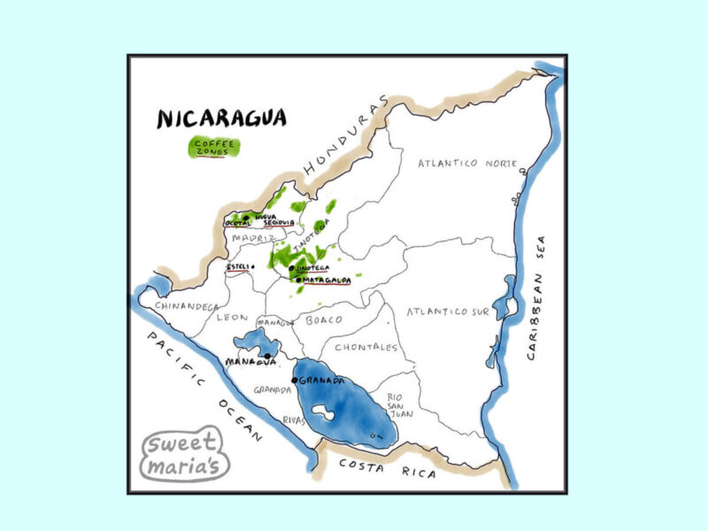 Nicaragua Coffee Map Sweet Marias