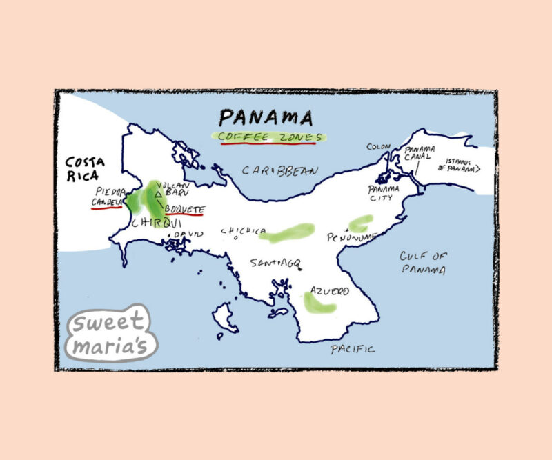 Panama Coffee Map Sweet Marias
