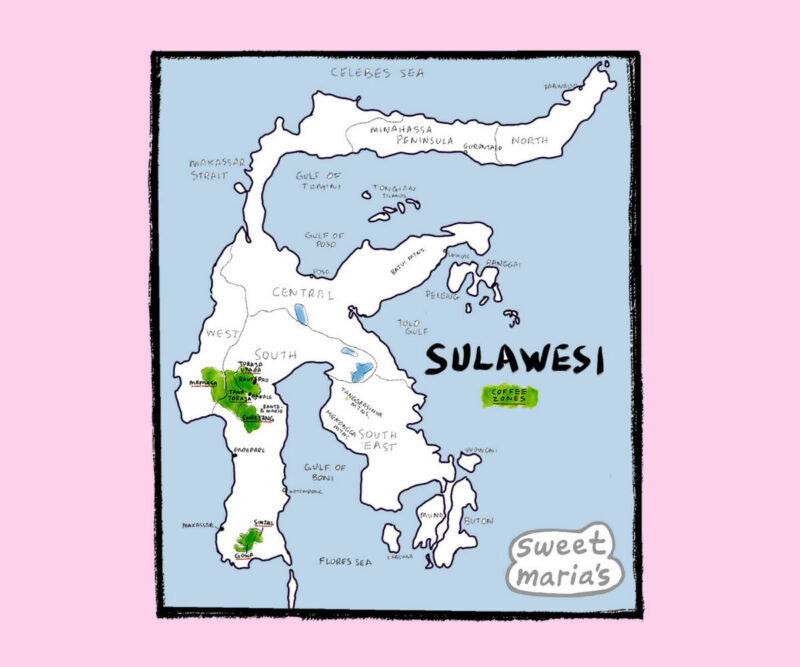Sulawesi Indonesia Coffee Map Indonesia Sweet Marias