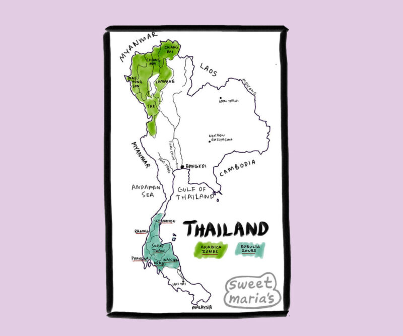 Thailand Coffee Map Sweet Marias