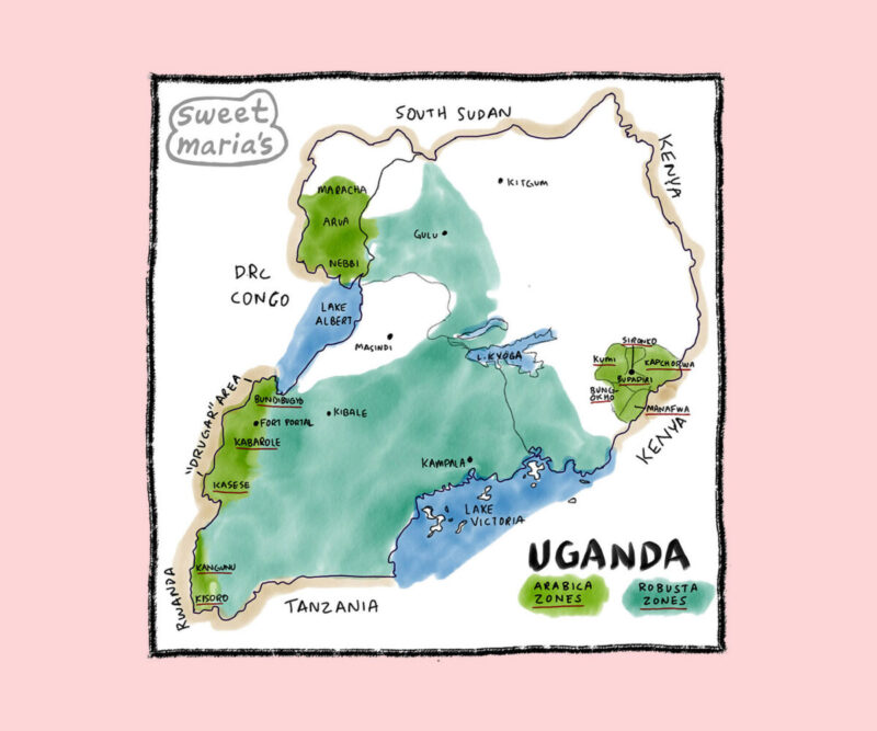 Uganda Coffee Map Sweet Marias