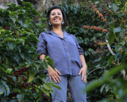 Melanie Herrera in Huehue during a 2012 trip. Melanie works for an importer we've been buying from for well over a decade. She also has a small farm "Parcela Melanie", and produces excellent coffee!