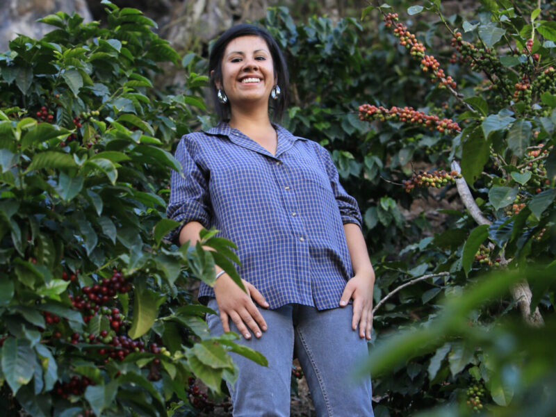 Melanie Herrera in Huehue during a 2012 trip. Melanie works for an importer we've been buying from for well over a decade. She also has a small farm "Parcela Melanie", and produces excellent coffee!