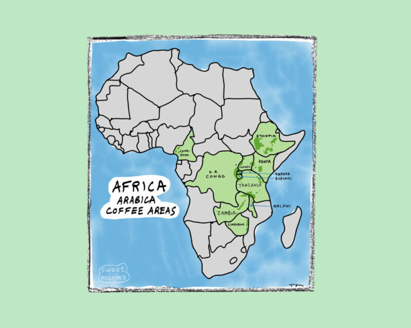 Africa Coffee Growing Map, African Coffee Producing Countries, African Coffee Growing Regions Map, Africa Arabica Coffee Map