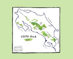 Costa Rica Coffee Map Sweet Marias