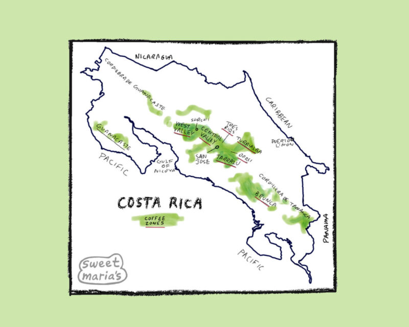 Costa Rica Coffee Map Sweet Marias