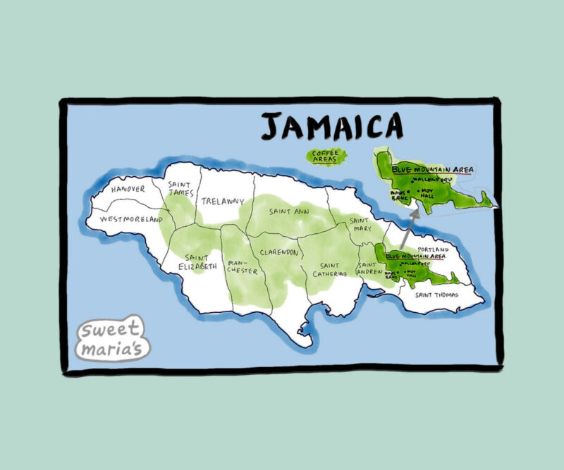 Jamaica Coffee Map Detail Sweet Marias