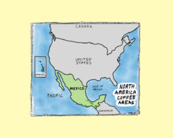 Central America Coffee Growing Map, Central America Coffee Producing Countries, Central America Coffee Growing Regions Map, Arabica Coffee Map, Latin America Coffee Map