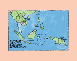 Southeast Asia Coffee Growing Map, Southeast Asia Coffee Producing Countries, Southeast Asia Coffee Growing Regions Map, Arabica Coffee Map, Caribbean Coffee Map,