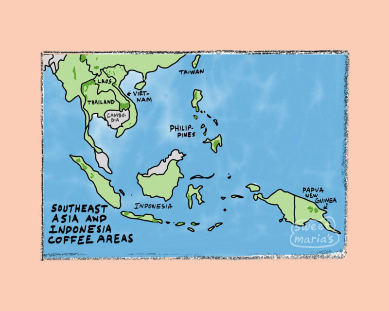 Southeast Asia Coffee Growing Map, Southeast Asia Coffee Producing Countries, Southeast Asia Coffee Growing Regions Map, Arabica Coffee Map, Caribbean Coffee Map,