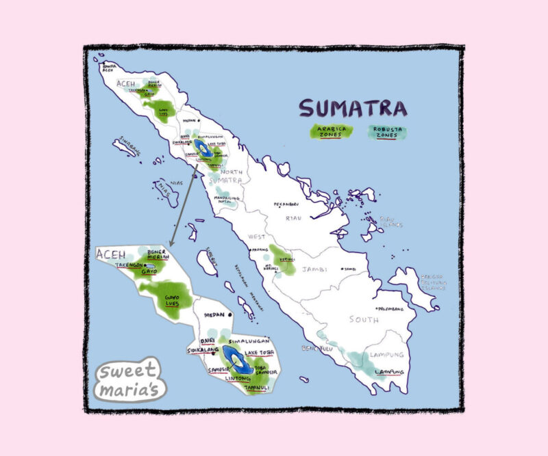 Sumatra Coffee Map Indonesia Sweet Marias