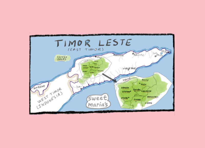 Timor Leste Coffee Map Sweet Marias