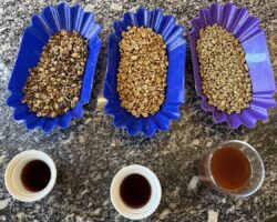 A cupping set up with green coffee and brewed coffee featuring (left to right) a Ugandan commercial coffee, a natural anaerobic lot from Bolivia, and a washed Ethiopian.